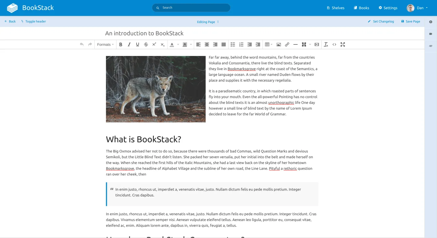 Write pages with the WYSIWYG editor