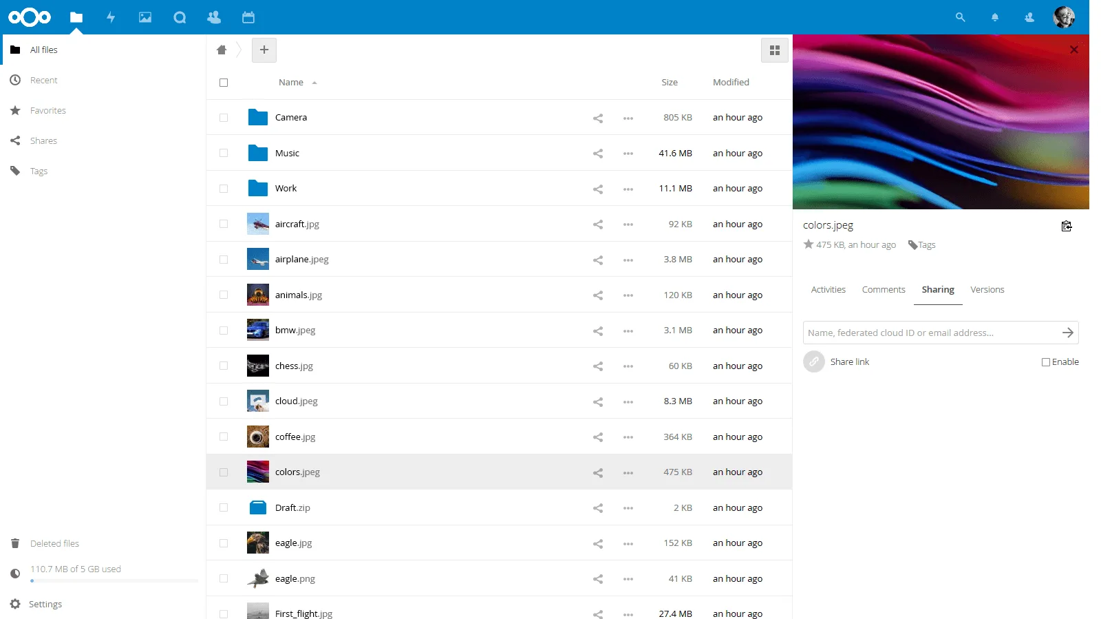 Sharing: share files with users, groups, or public links