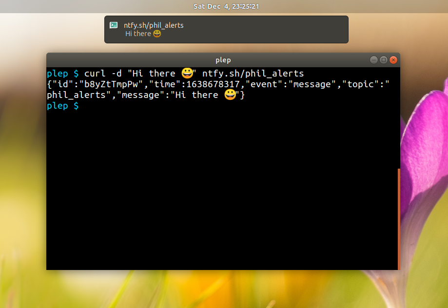Publish with a single curl and get an instant push notification